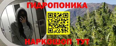 Альфа ПВП Ставрополь