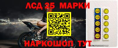 Альфа ПВП Ставрополь