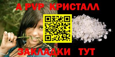 Альфа ПВП Ставрополь