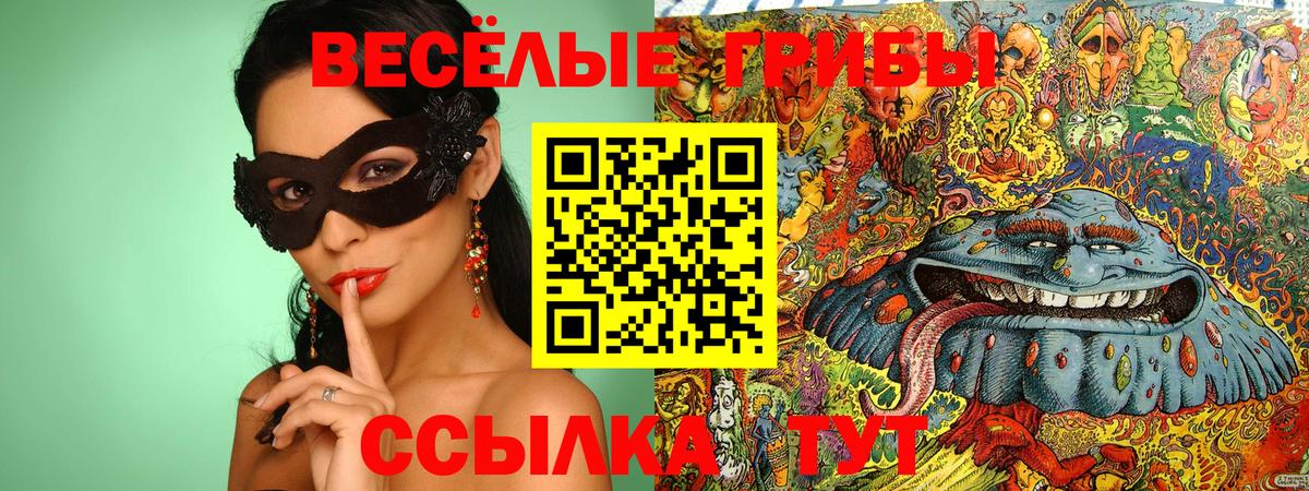 Псилоцибиновые грибы прущие грибы  Вход с VPN  Галлюциногенные грибы ЛСД  Ногинск 