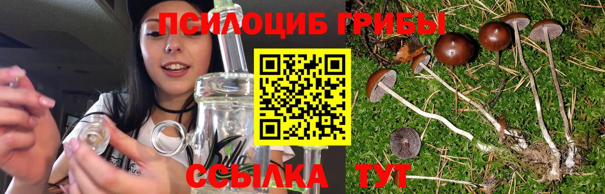 Псилоцибиновые грибы MAGIC MUSHROOMS Ногинск